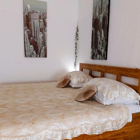 Exkluzivni Apartman V Prizemi V Hradci Kralove Hradec Kralove Exterior foto